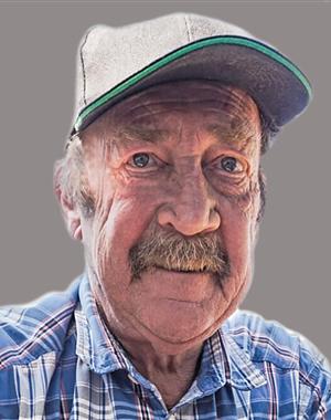 Profilbild Albert Hochenbleicher