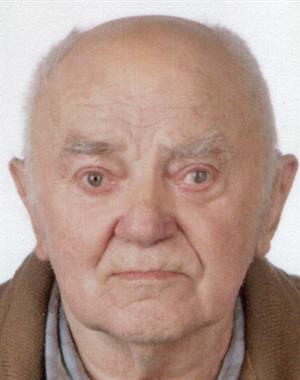 Profilbild Konstantin Wolf