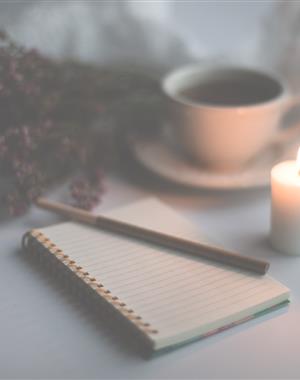 Profilbild max muster